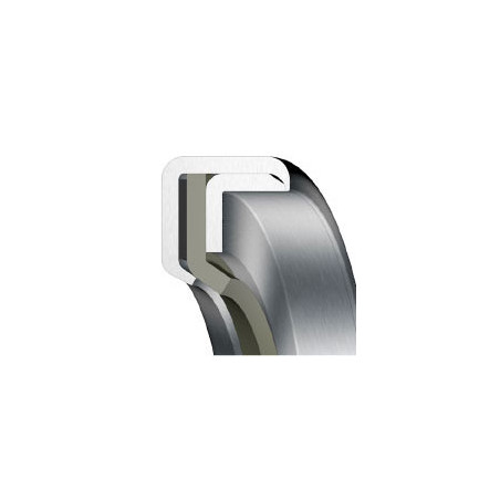 Junta OS-PA31 PTFE estándar 190,00x